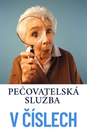 Pečovatelská služba v číslech 